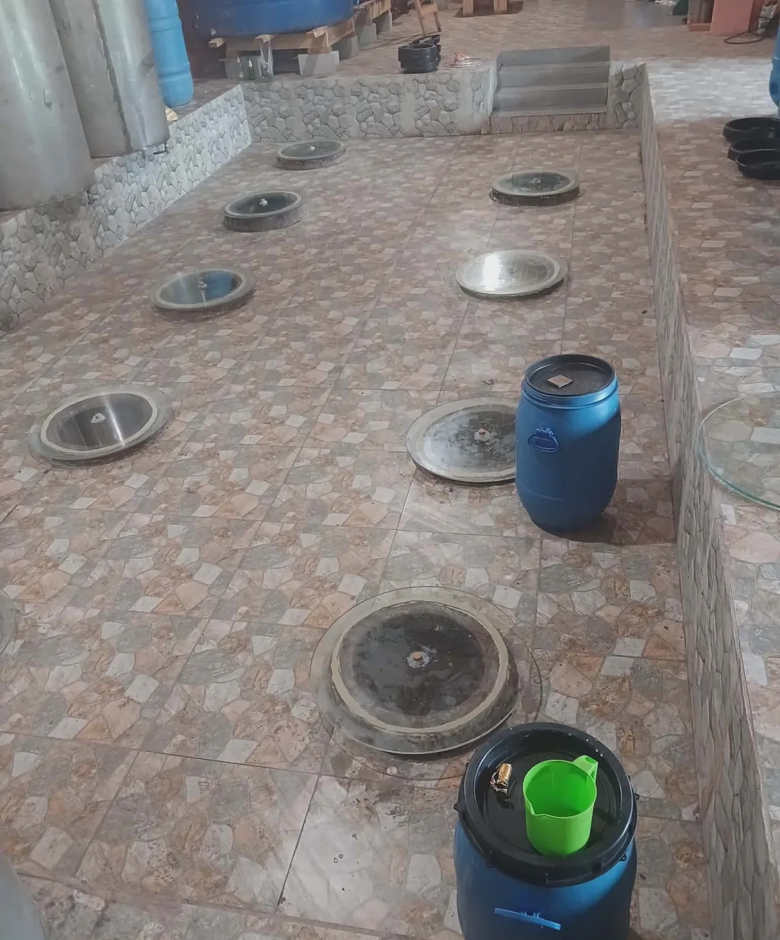 Qvevri clay pots buried to the neck in the tiled floor of the family marani in Gurgeniani